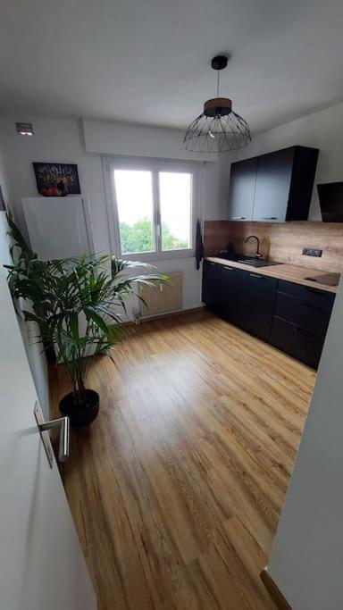 Appart Cosy Avec Vue Sur Le Lac Leman Evian-les-Bains Exterior photo